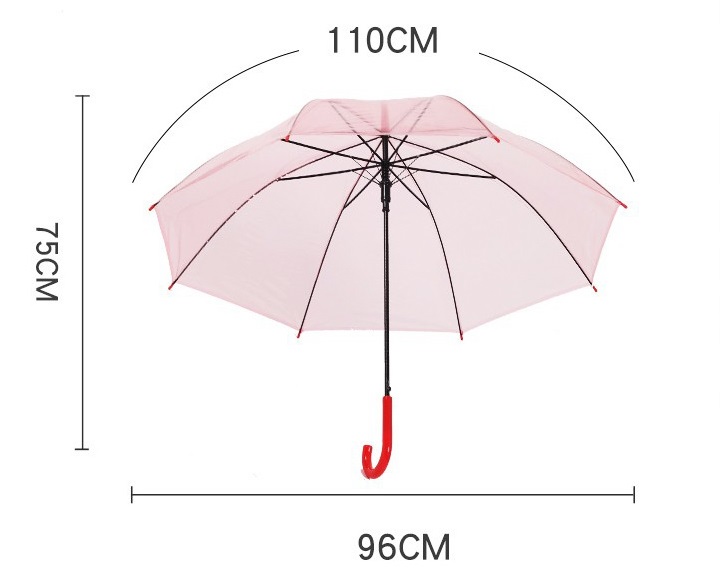 genomskinligt paraply